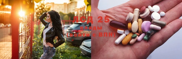 винт Абаза