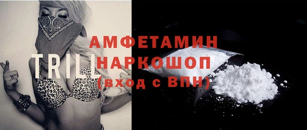винт Абаза
