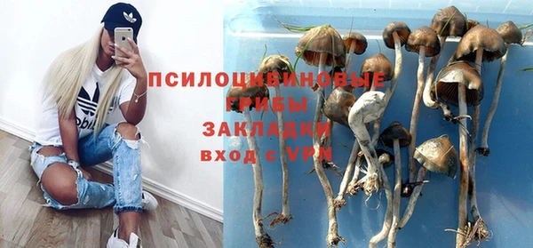 индика Абдулино