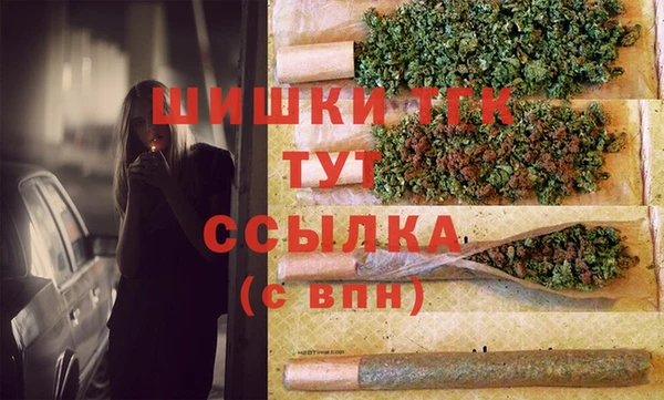 индика Абдулино