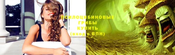 индика Абдулино