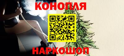 прущие грибы Нягань