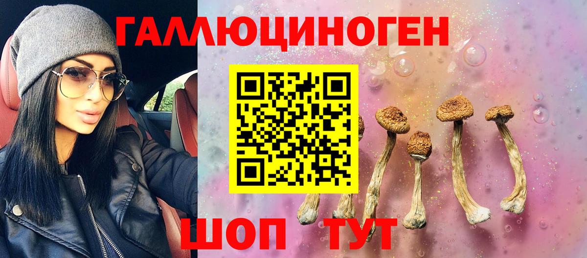 Галлюциногенные грибы Psilocybine cubensis Ярославль