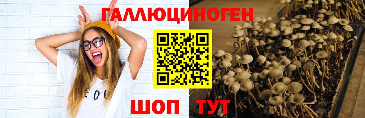Ярославль  Галлюциногенные грибы MAGIC MUSHROOMS  Вход с VPN 